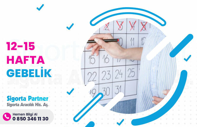 12 13 14 15 Hafta Gebelik