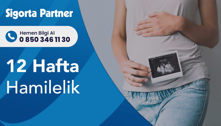 12 Hafta Hamilelik