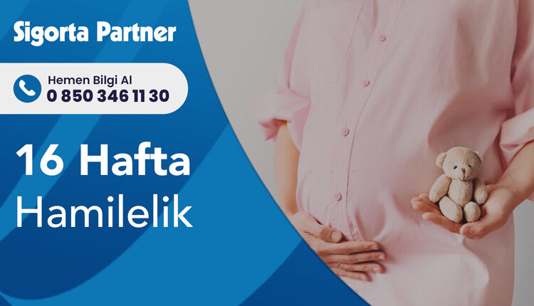 16 Hafta Hamilelik