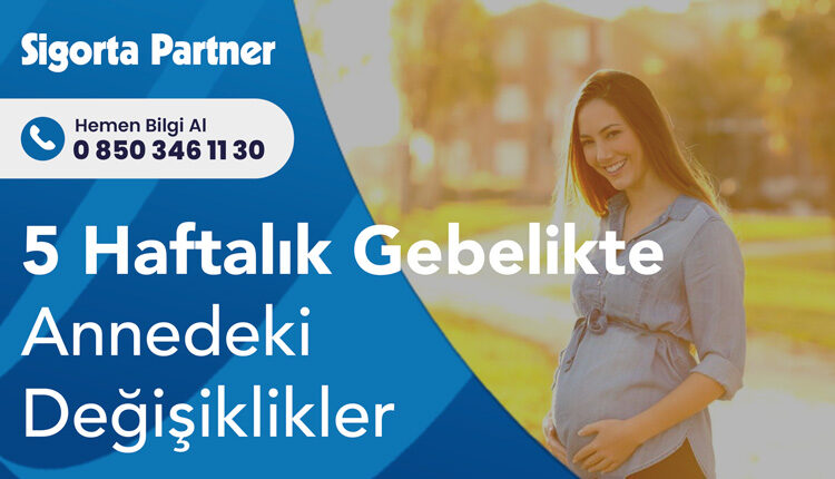 5 Haftalık Gebelikte Annedeki Değişiklikler