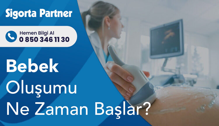 Bebek Oluşumu Ne Zaman Başlar?