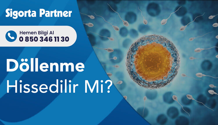 Döllenme Hissedilir Mi?