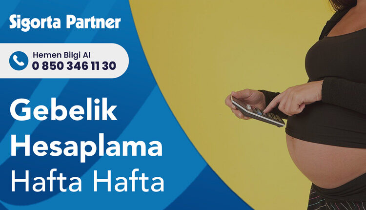 Gebelik Hesaplama Hafta Hafta