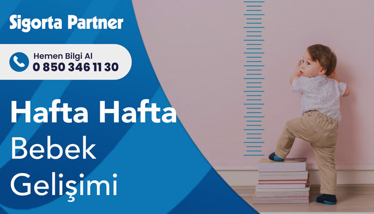 Hafta Hafta Bebek Gelişimi