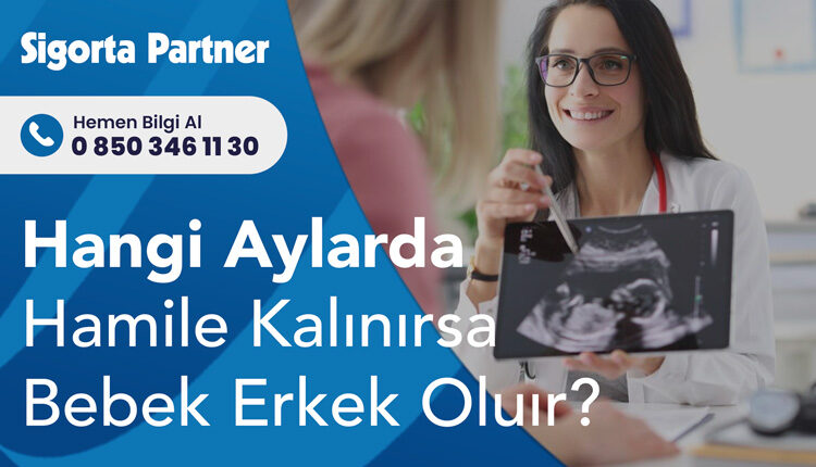 Hangi Aylarda Hamile Kalınırsa Bebek Erkek Olur?