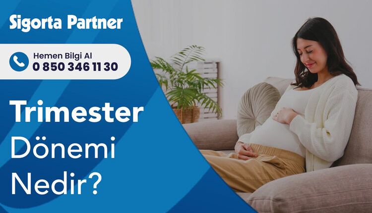 Trimester Dönemi Nedir?