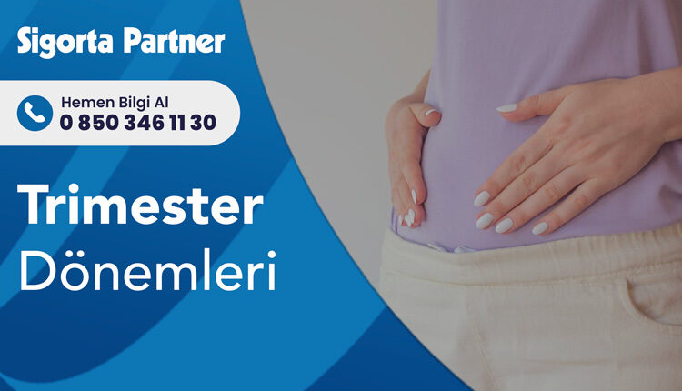 Trimester Dönemleri