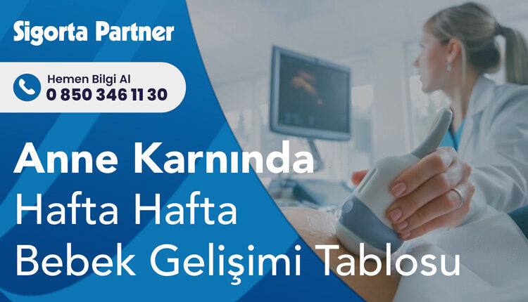Anne Karnında Hafta Hafta Bebek Gelişimi Tablosu