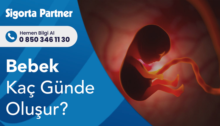 Bebek Kaç Günde Oluşur?