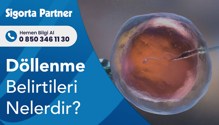 Döllenme Belirtileri Nelerdir?