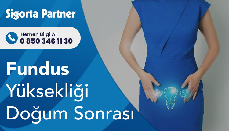 Fundus Yüksekliği Doğum Sonrası