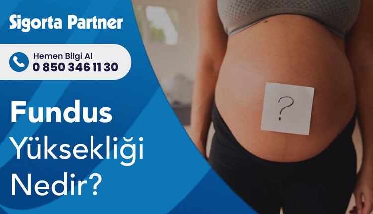Fundus Yüksekliği Nedir?