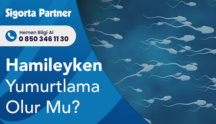 Hamileyken Yumurtlama Olur Mu?